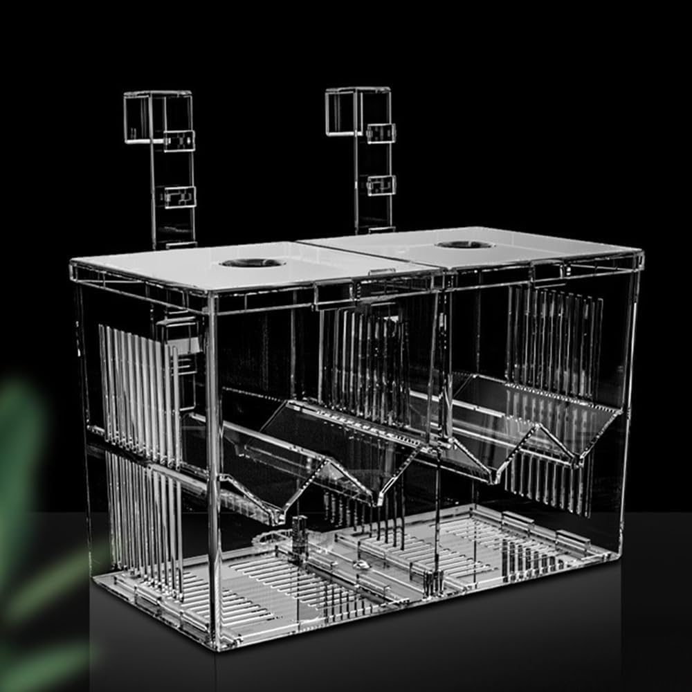 Acrylic Aquarium Breeder Box
