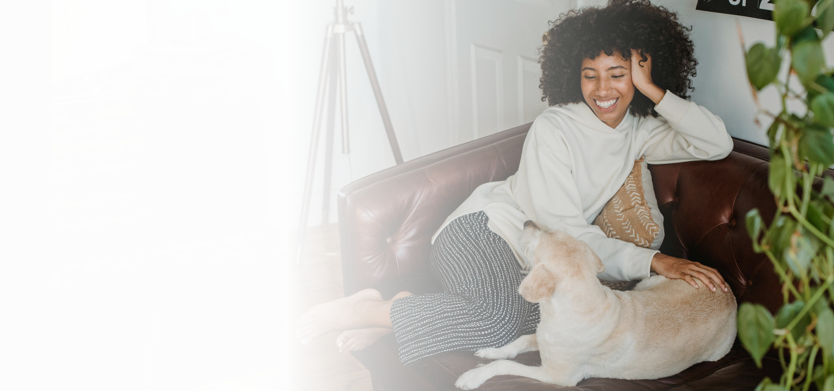 slider image 1621243260e1af0c20-0