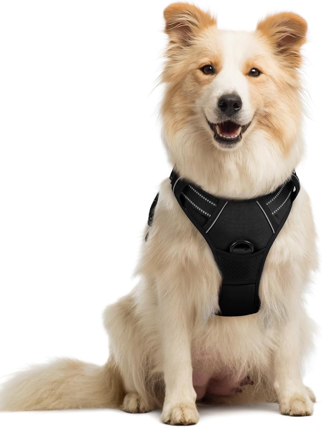 Dog Harness No Pull with 2 Leash Clips