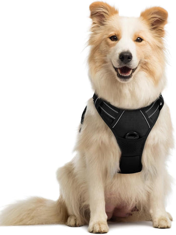Dog Harness No Pull with 2 Leash Clips