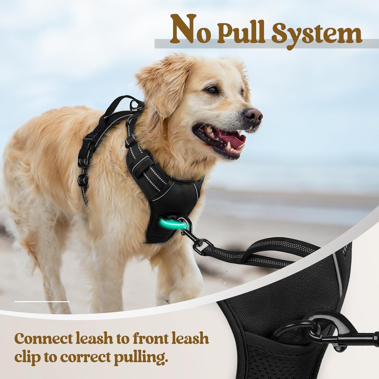 Dog Harness No Pull with 2 Leash Clips