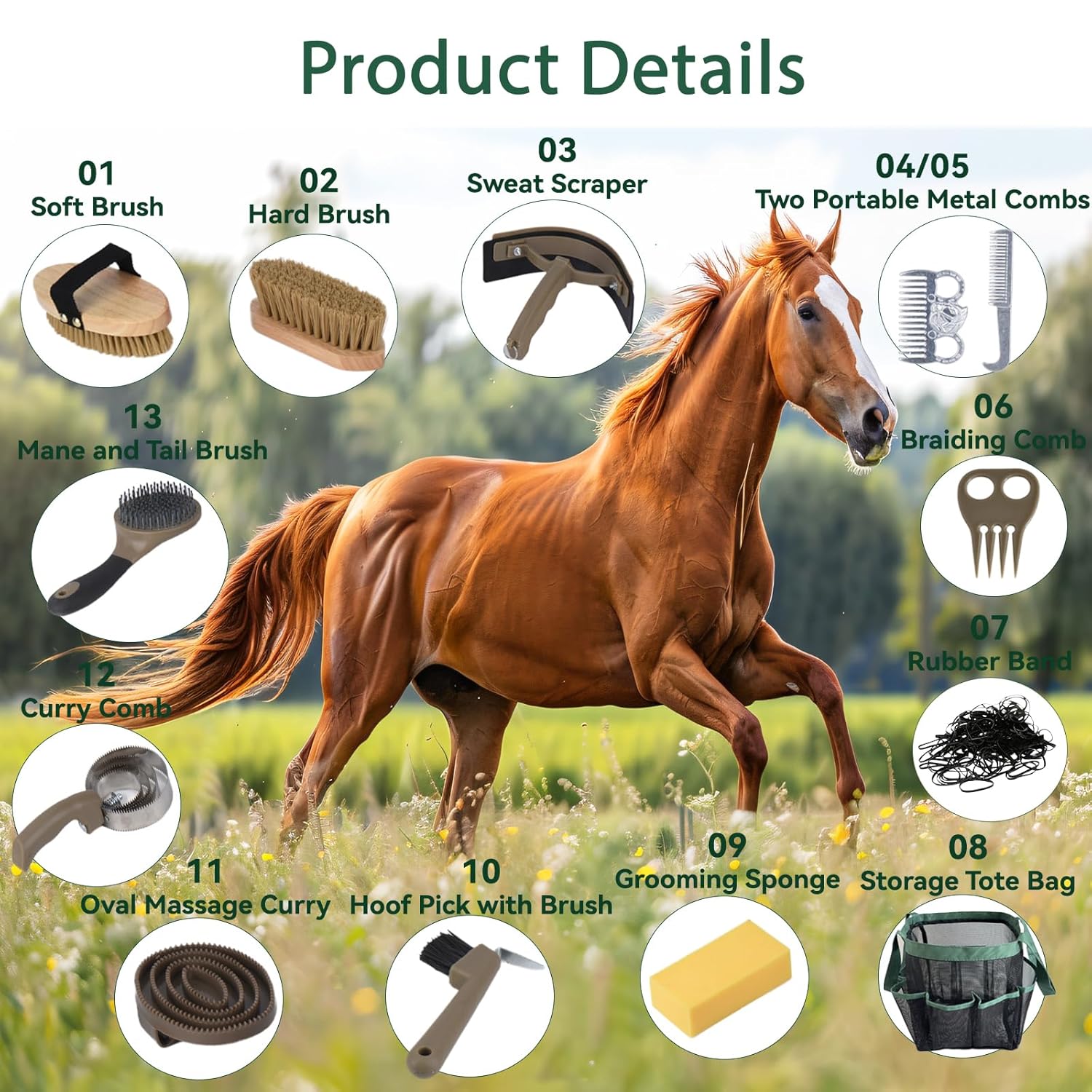 Horse Grooming Kit (13-Piece)