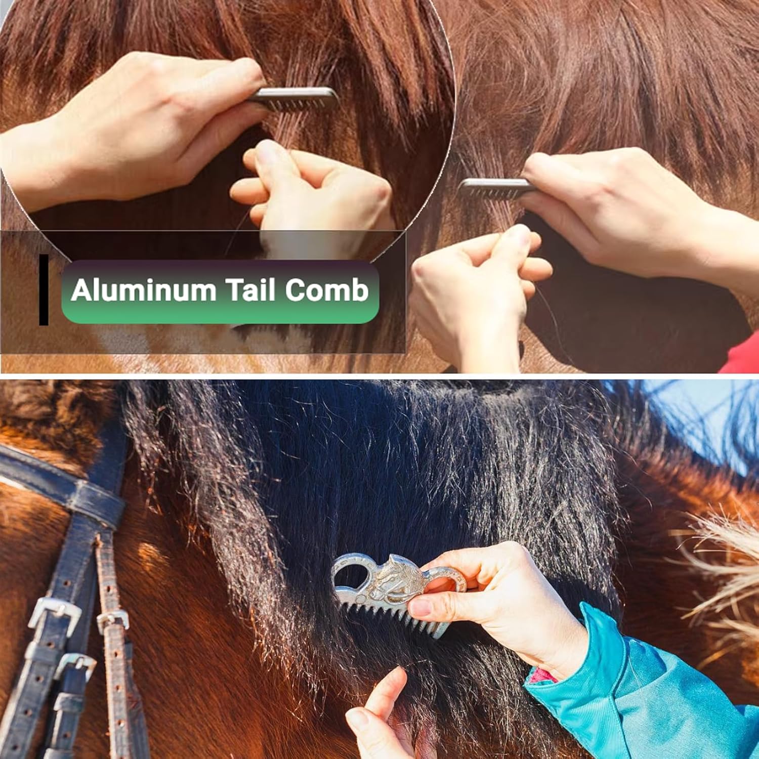 Horse Grooming Kit (13-Piece)