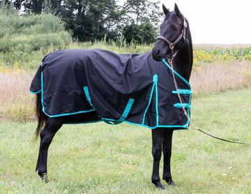 Winter Horse Blanket